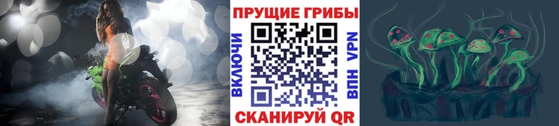 Псилоцибиновые грибы прущие грибы  Каспийск 